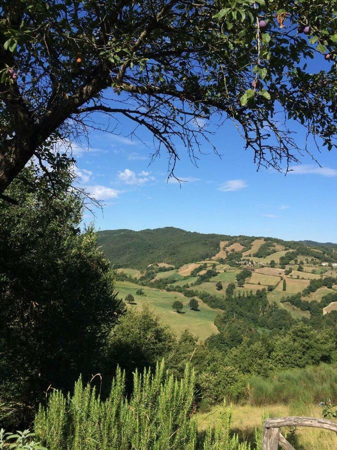 Grannoce Bed And Breakfast Gubbio Luaran gambar