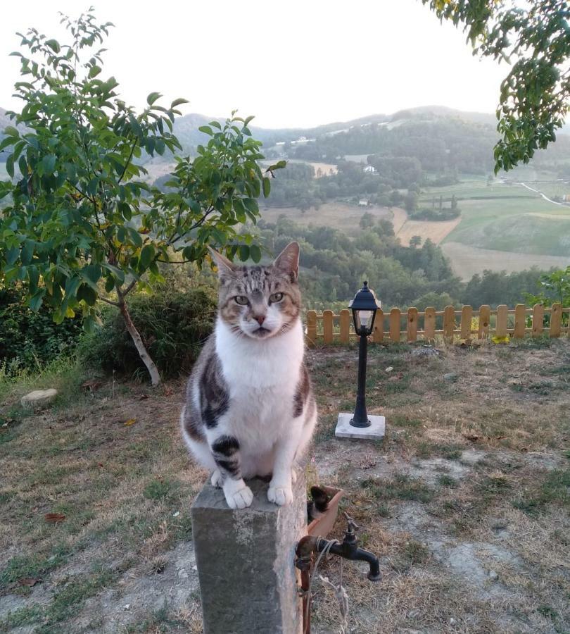 Grannoce Bed And Breakfast Gubbio Luaran gambar